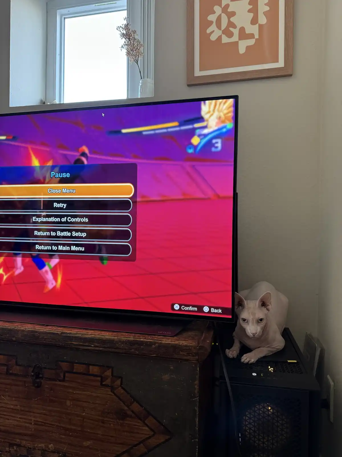 A hairless cat sits beside a TV displaying a paused fighting game menu, looking directly at the camera with an intense…