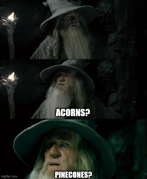 A three-panel meme featuring Gandalf the Grey from Lord of the Rings, looking increasingly confused. In the first panel, he…