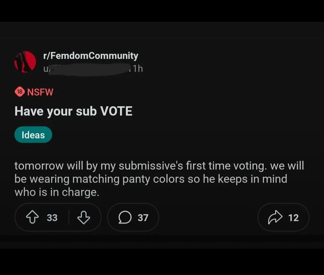A screenshot of a Reddit post from r/FemdomCommunity, marked NSFW, with the title 'Have your sub VOTE' and a comment…