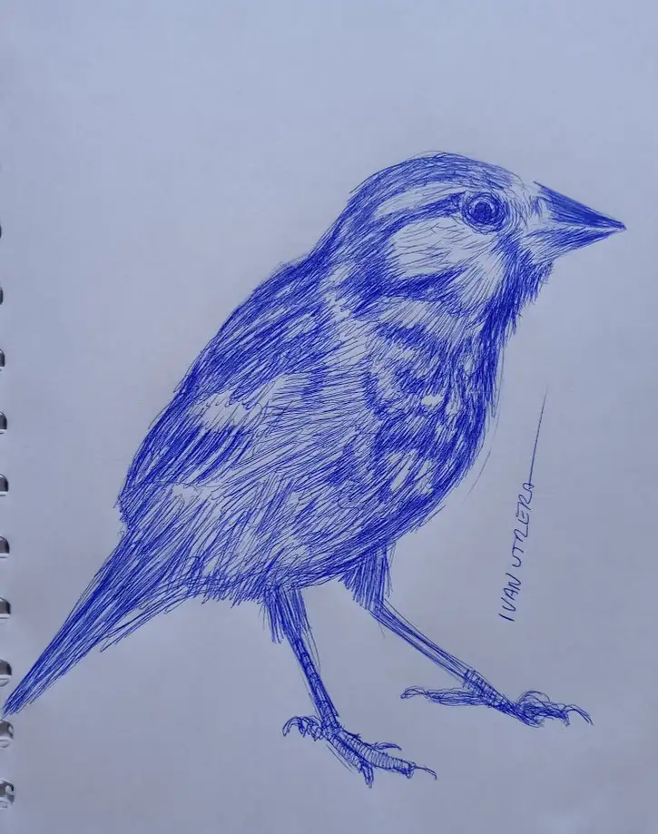A simple bird.