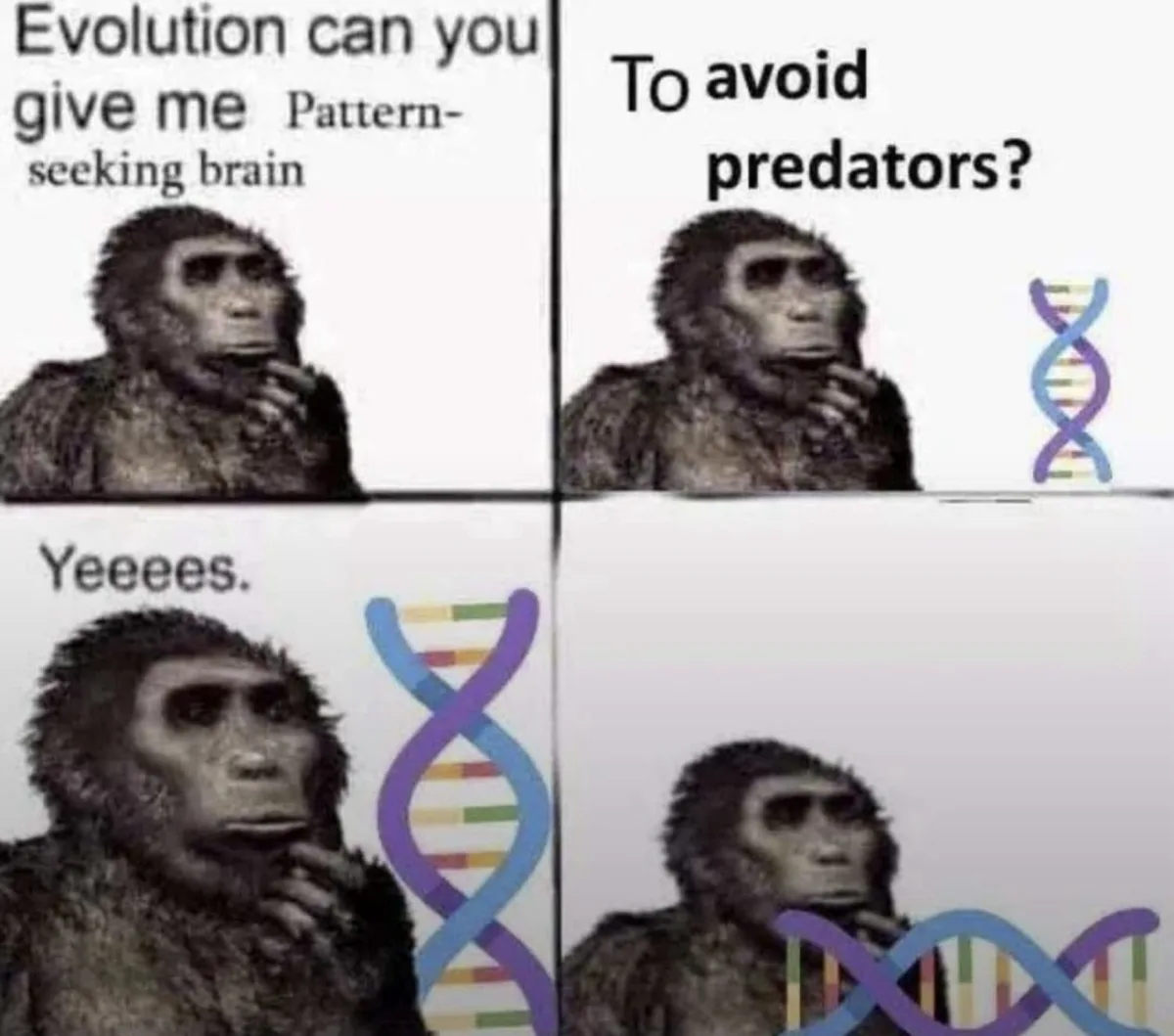 A four-panel meme featuring a chimpanzee in each panel, with text overlaid. The first panel shows the chimp asking evolution…