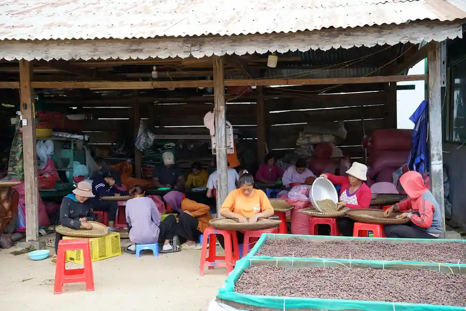 Robusta Ka ÄĐÆ¡n – A High-Stakes Adventure Awaits