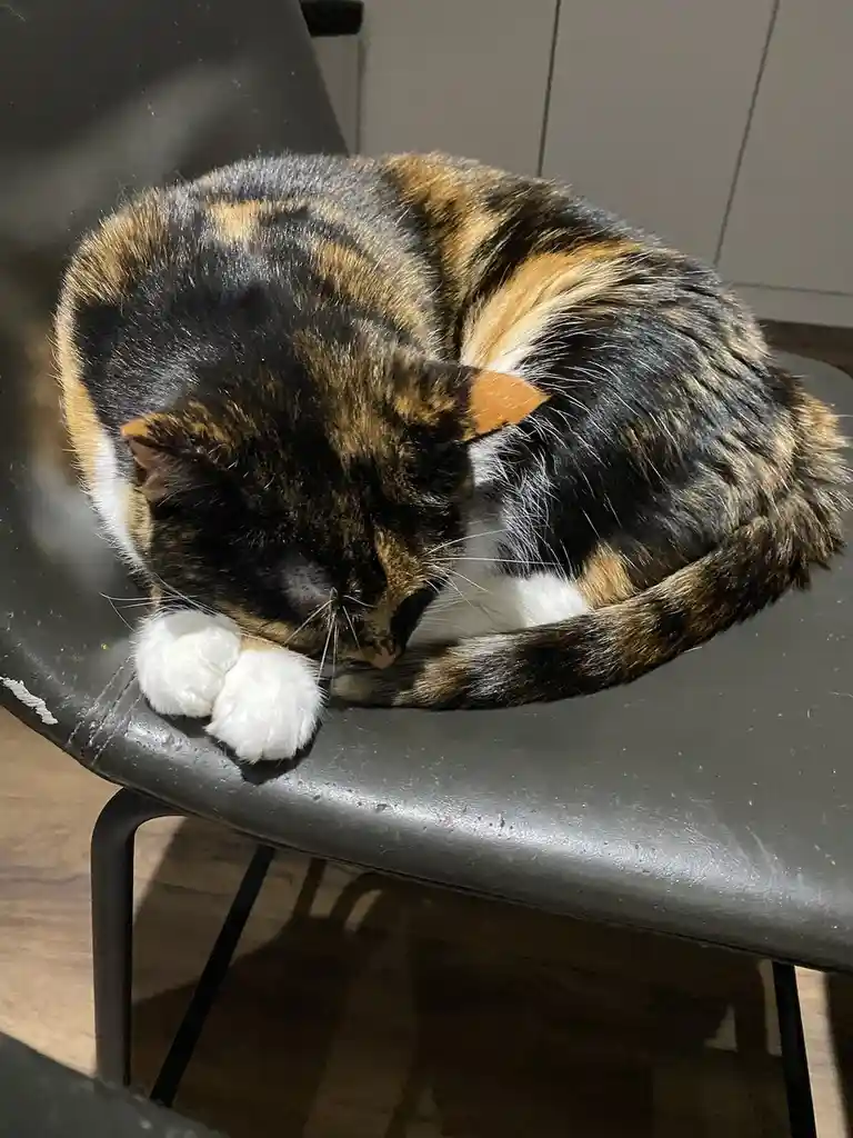 Crumble's Daily Dose of Cuteness