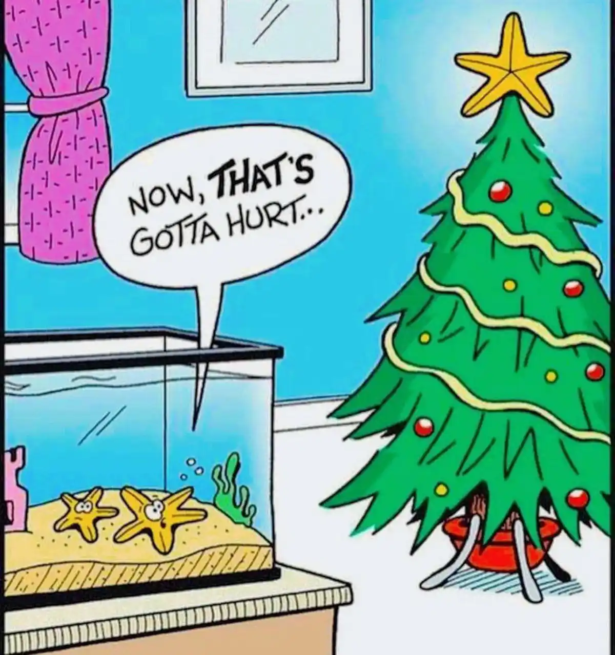 A cartoon depicts two starfish in an aquarium looking shocked as a starfish-shaped Christmas tree topper is shown stuck to…