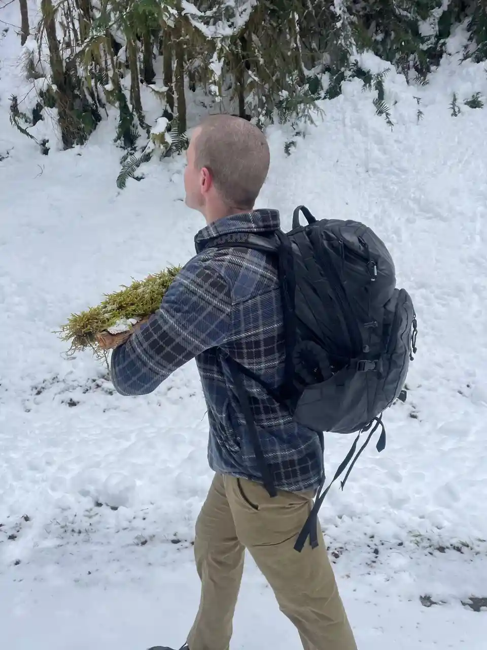 A man in a plaid jacket and khaki pants walks through a snowy forest, carrying a large clump of moss in his left hand while…