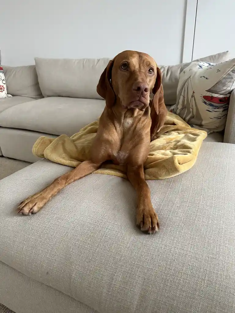 Meet Rudy, the enigma