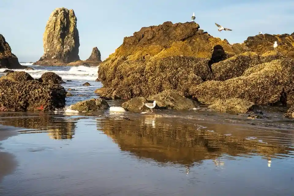 The Serene Coastline