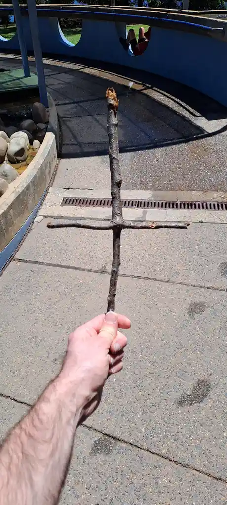 Check out this amazing stick I found!