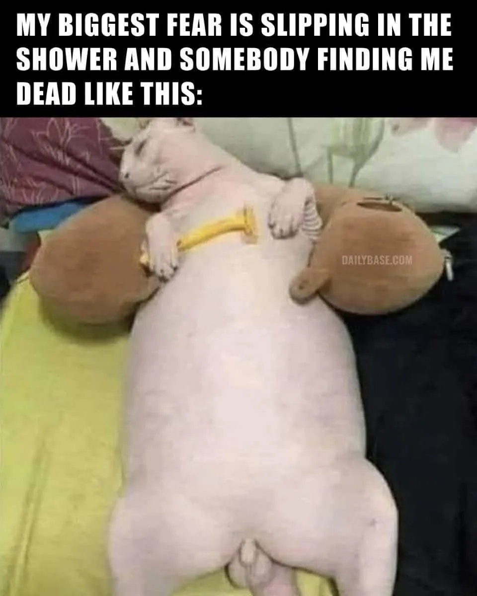 A hairless white cat is lying on its back on a bed, appearing lifeless with its eyes closed. A yellow rubber duck is…