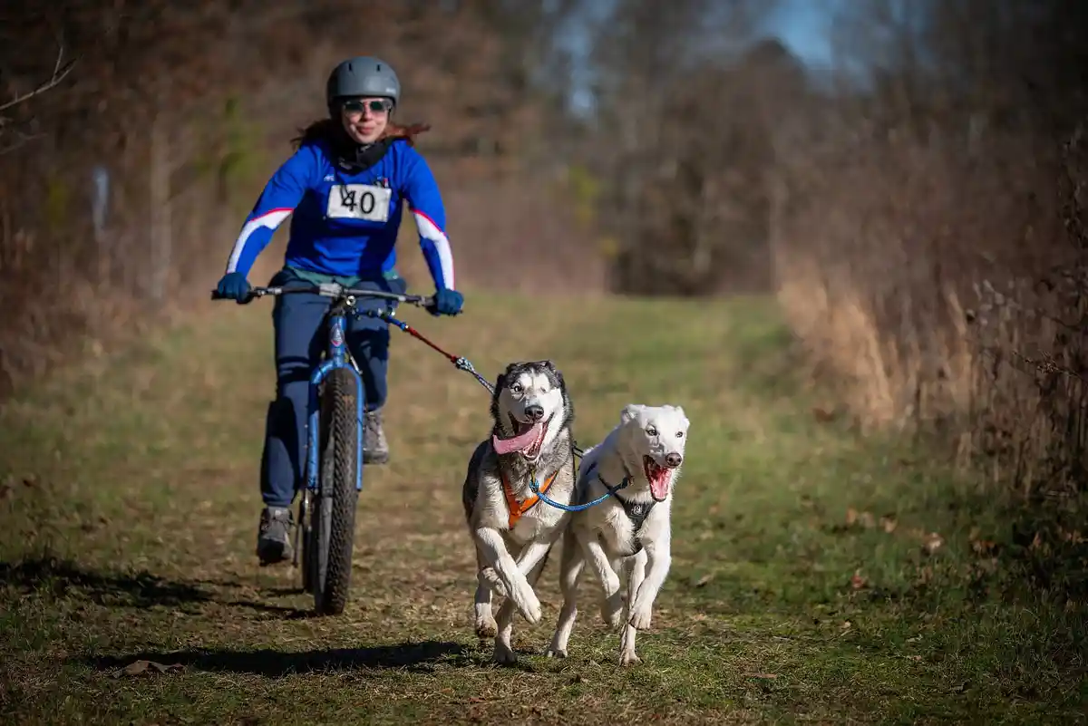 A person wearing a blue racing jersey with number 40 and a helmet rides a mountain bike on a grassy trail, being pulled by…
