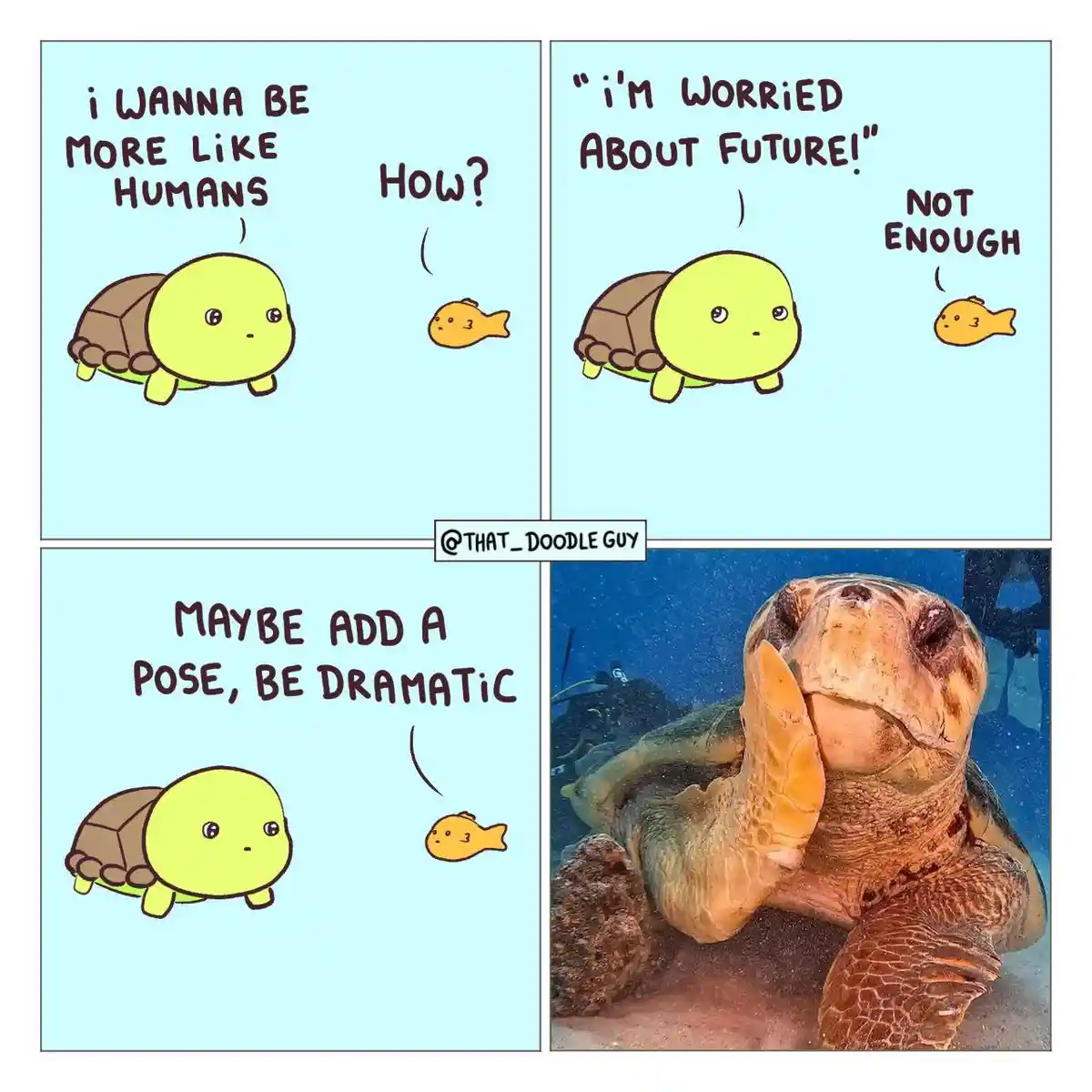 A four-panel comic shows a cartoon turtle wanting to be more like humans, asking a fish how. The fish suggests worrying…