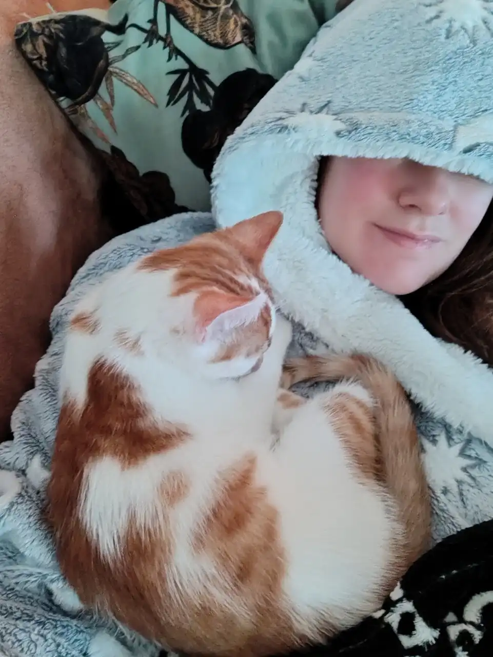 Wishing You a Merry Catmas!