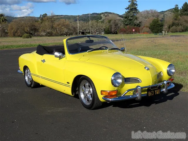 Vibrant California Yellow: A Colorful Delight