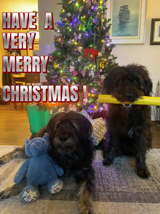 My Ladies Are Sending You Their Warmest Wishes!