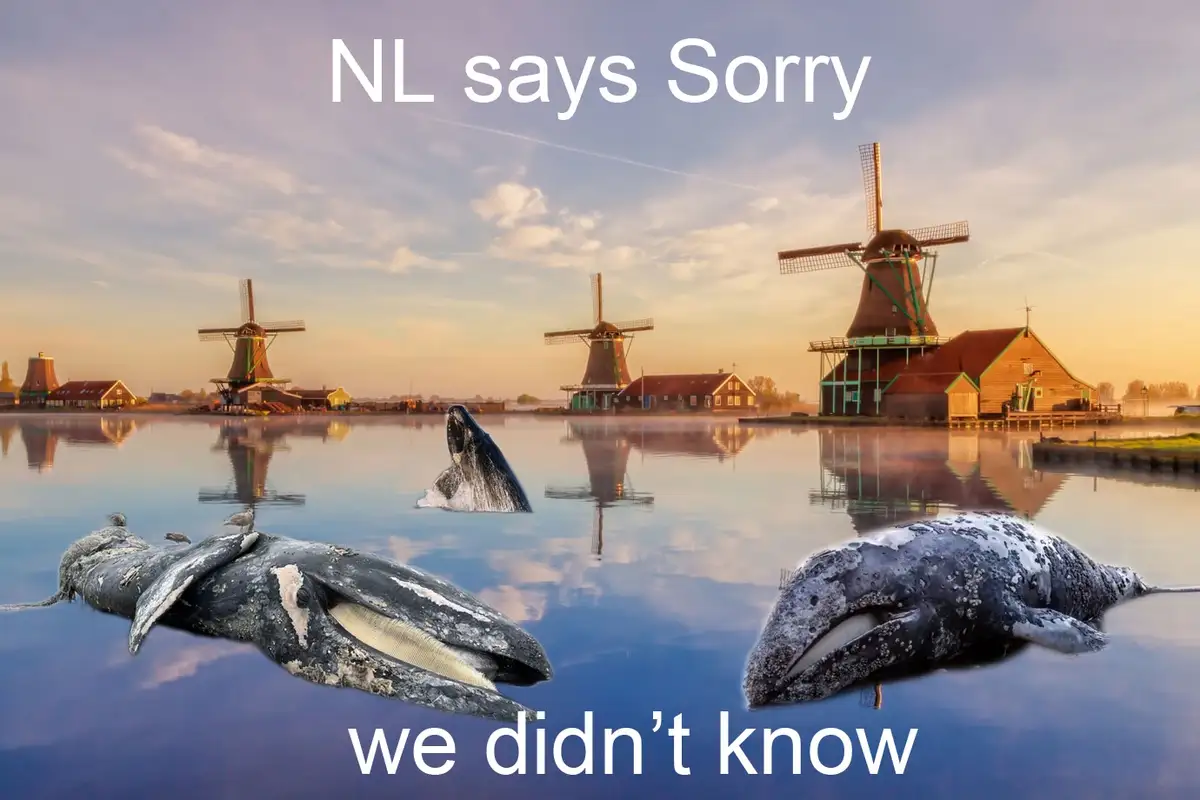 A scenic photo of Dutch windmills reflected in calm water is edited to show two dead whales floating in the foreground…