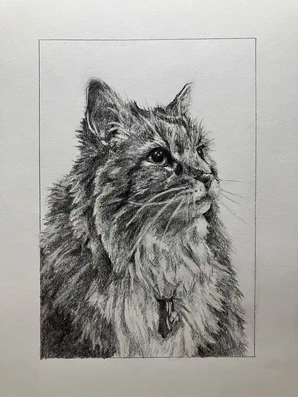 A detailed pencil sketch of a long-haired cat looking upward, with a collar and tag visible. The image has overlaid text…