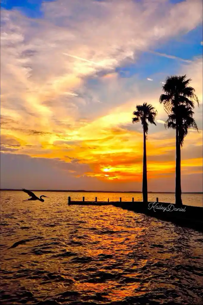 A Breathtaking Sunset Over the Horizon