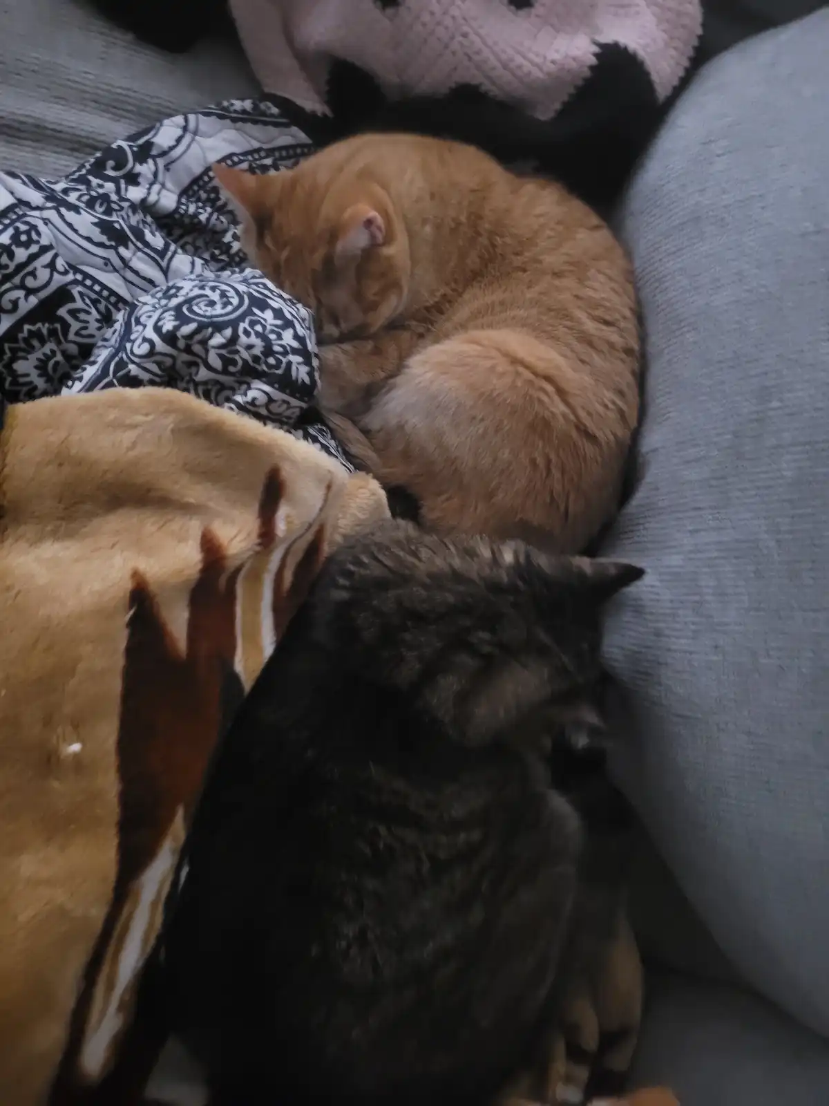 From a Rough Start to an Adorable Ending: What a Day!