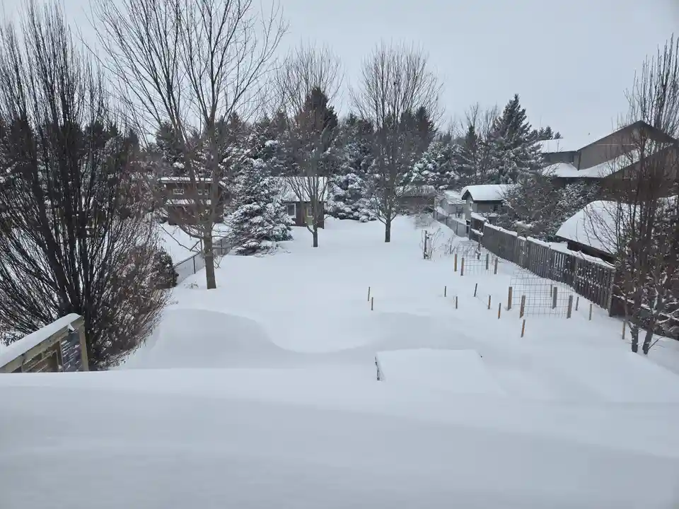 A snowy residential yard with bare trees, snow-covered houses, and a fence, overlaid with the text 'my yard after the…