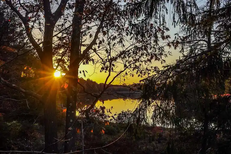 A serene autumn sunset viewed through silhouetted trees, with the sun casting golden rays over a calm lake. The image…