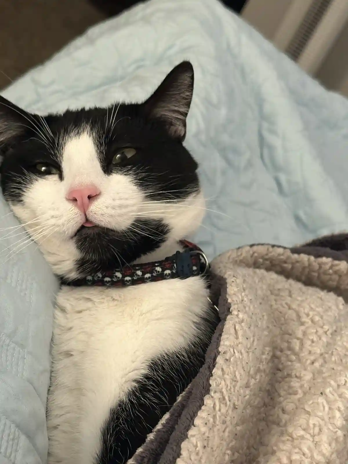The Ultimate Comfy Boy Vibes