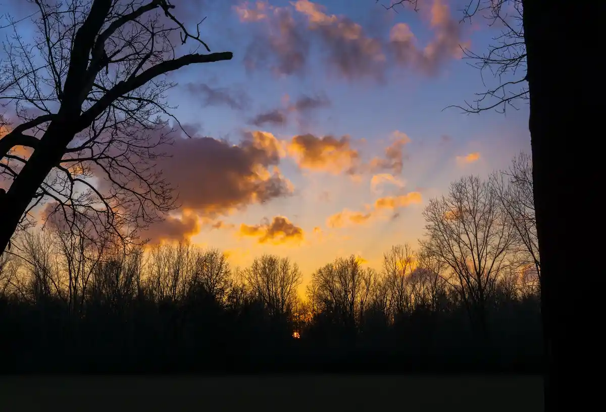 Breathtaking Michigan Sunset: Nature's Canvas