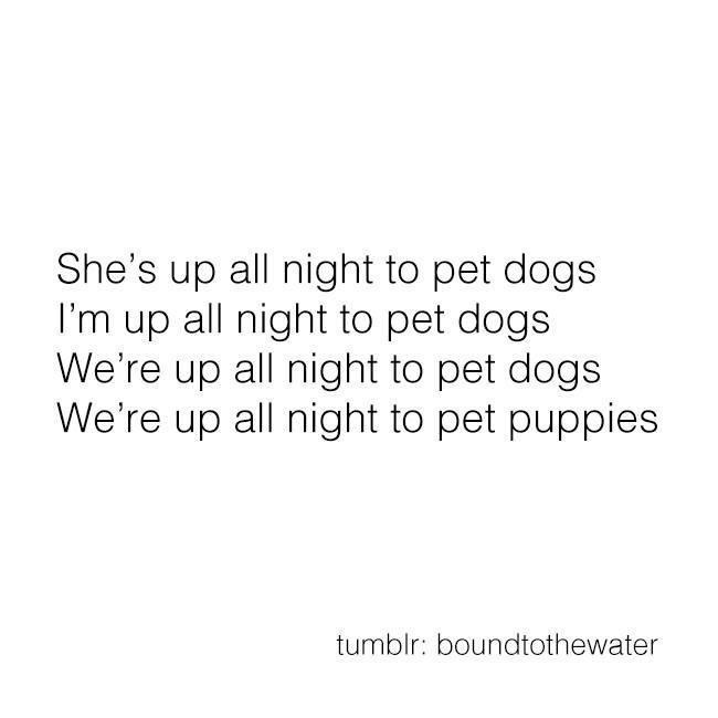 A plain white background with black sans-serif text arranged in four lines. The text reads: 'She's up all night to pet…