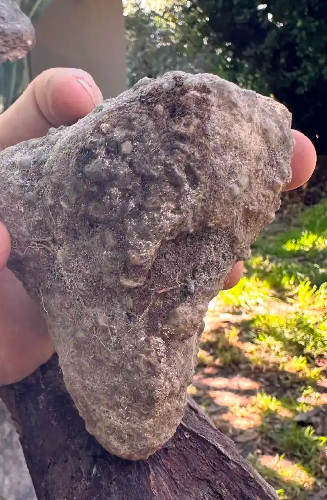 Help Needed: What Kind of Rock Is This?