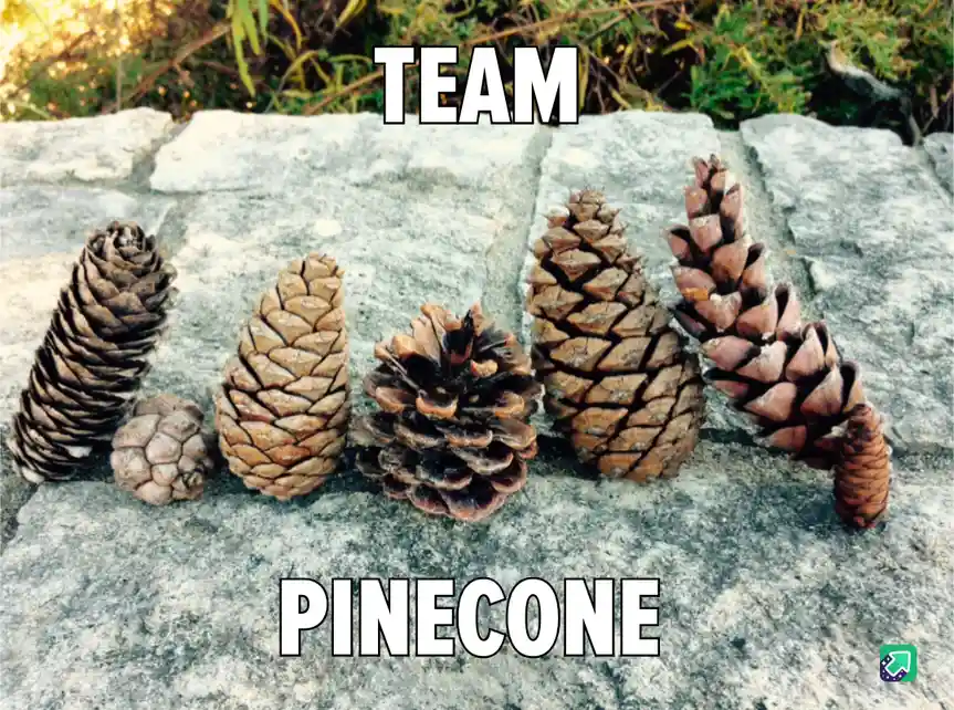 The Entire Crew is Here!