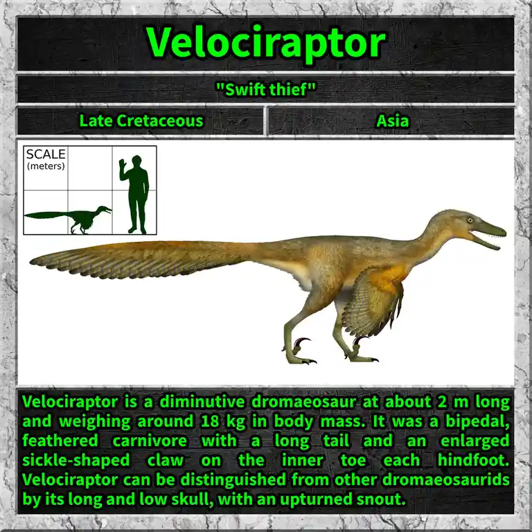 The Mighty Velociraptor: Nature's Fearsome Predator