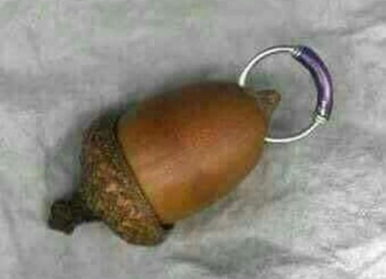 A real acorn with a metal keychain ring attached to its cap, lying on a gray fabric surface. The overlaid text reads 'i'm…