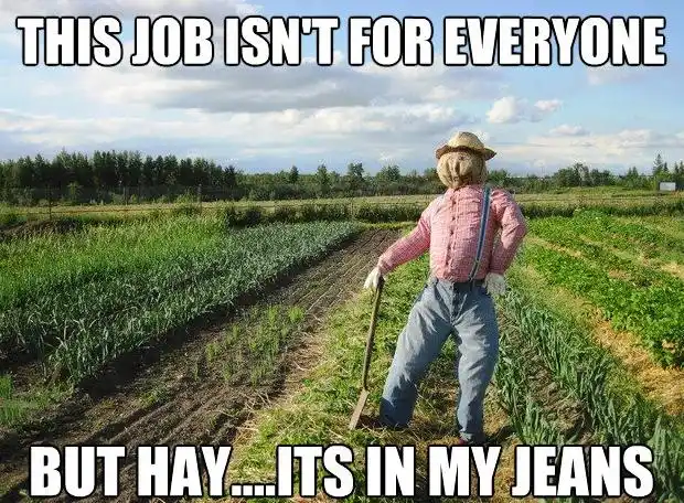 A Scarecrow's Meme Showcase