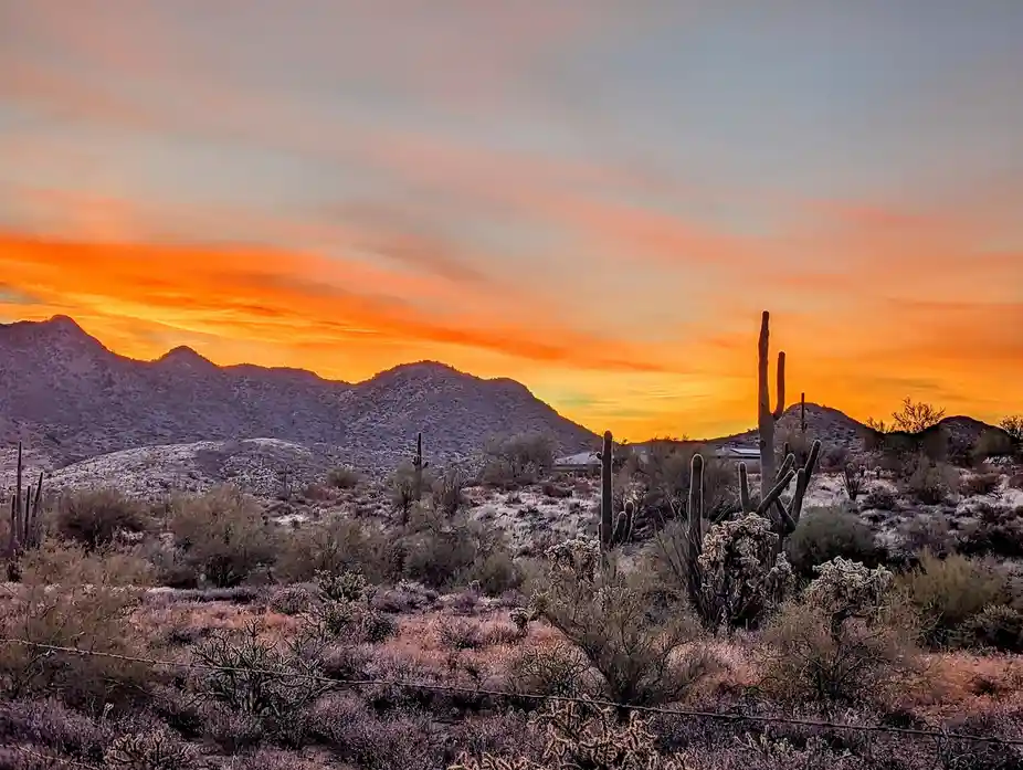 A scenic desert landscape at sunset with orange and pink clouds above purple mountains and saguaro cacti in the foreground…
