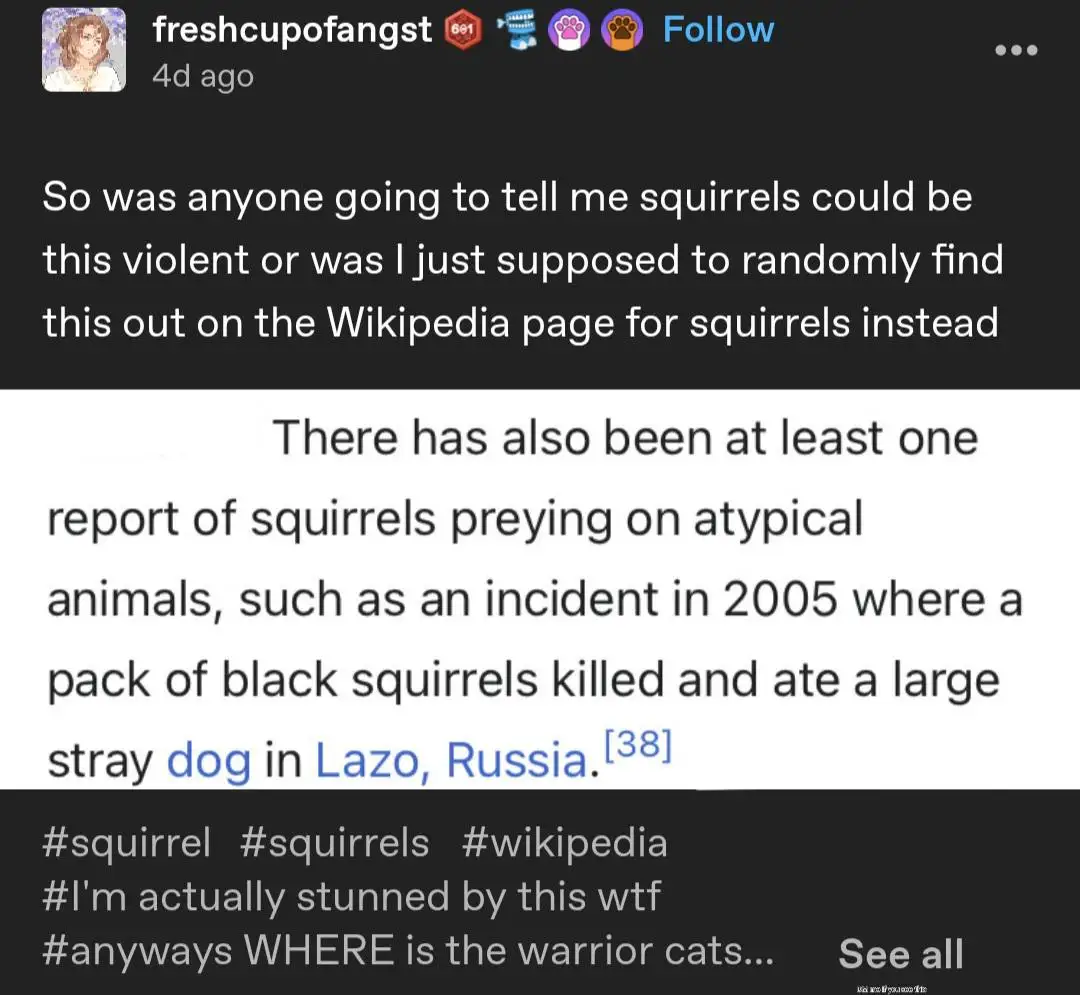 Did You Know? Fascinating Facts About Squirrels