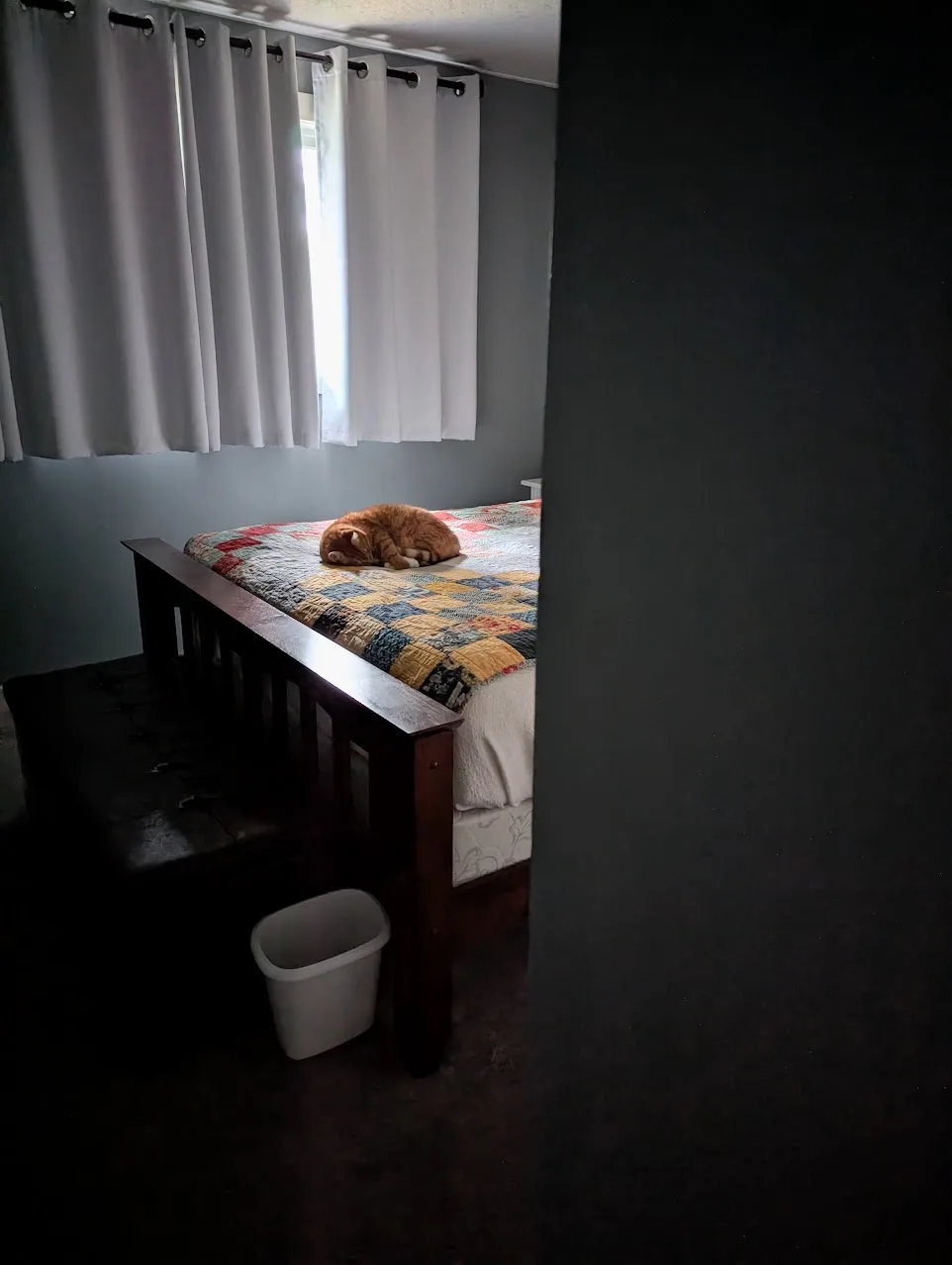 A ginger cat is curled up sleeping on a bed with a colorful quilt, viewed from a darkened doorway. The room has gray walls…