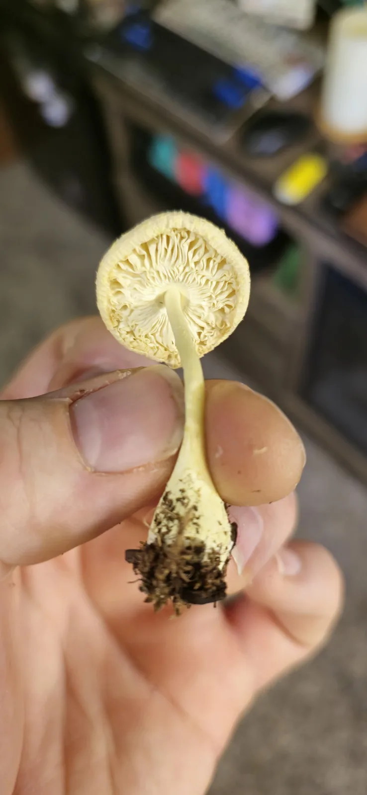 What on Earth is This?