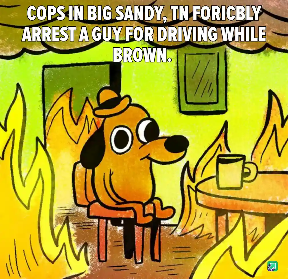 A cartoon dog wearing a hat sits calmly at a table with a mug, surrounded by flames. The text overlay reads 'COPS IN BIG…