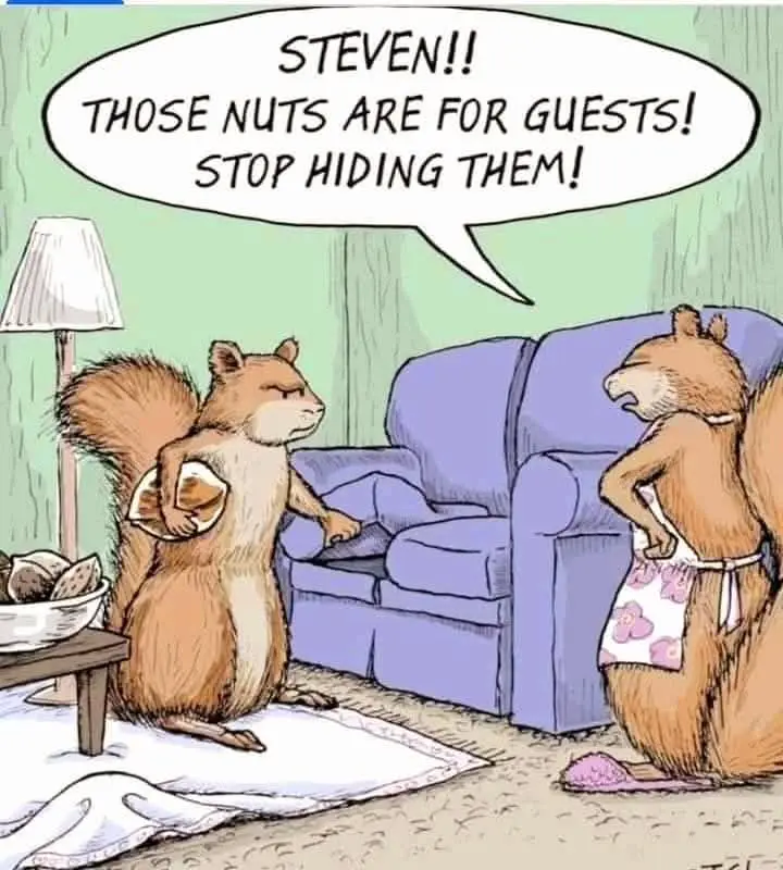 Nuts galore!