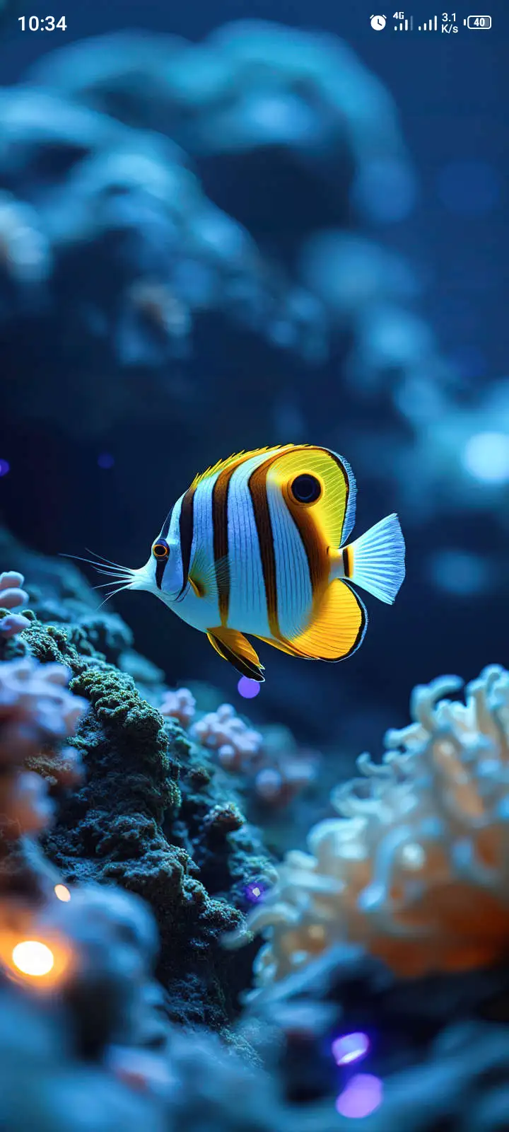The Majestic Banded Butterflyfish