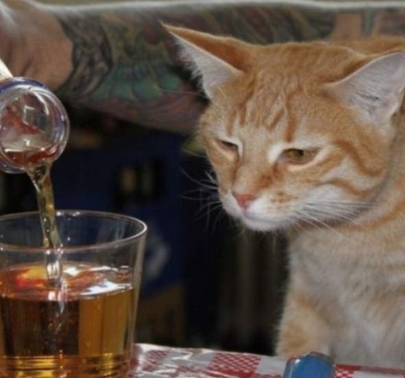 Thank Goodness It's Friday!