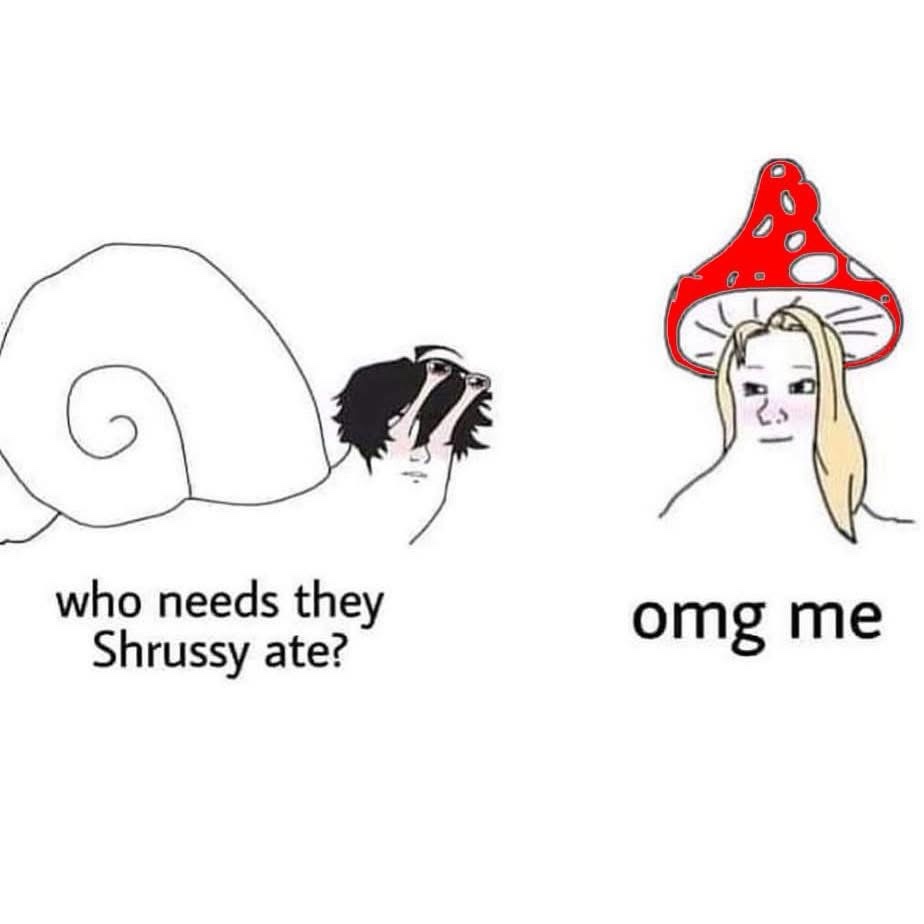 A cartoon snail with a human head on the left asks 'who needs they Shrussy ate?' while a blonde woman with a red mushroom…