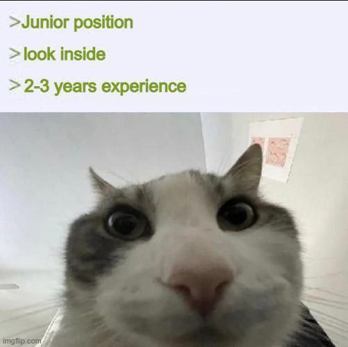 A close-up photo of a white and gray cat with wide, startled eyes looking directly at the camera. Overlaid text in green…