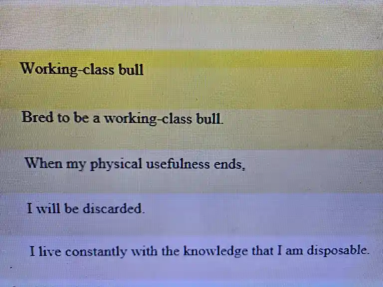 The image displays a computer screen with text overlaid on horizontal color bands. The text reads 'Working-class bull'…