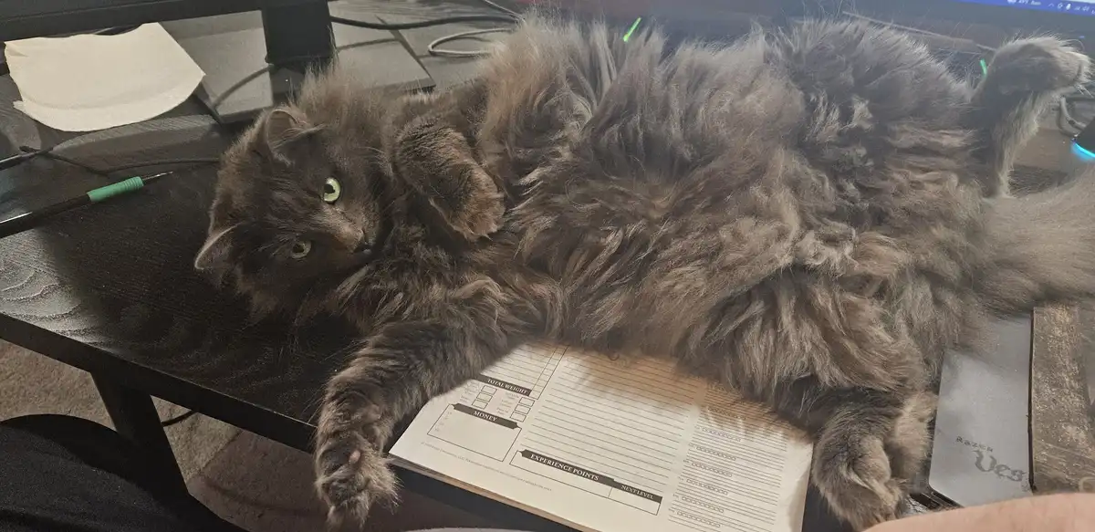 A fluffy, long-haired gray cat lies sprawled across a dark desk, partially covering a Dungeons & Dragons character sheet…