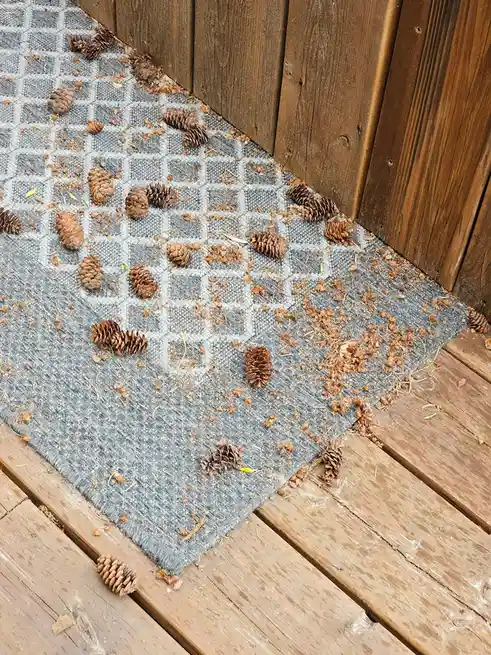 A gray patterned rug on a wooden deck is covered with numerous pine cones and scattered pine needles, with a wooden wall in…
