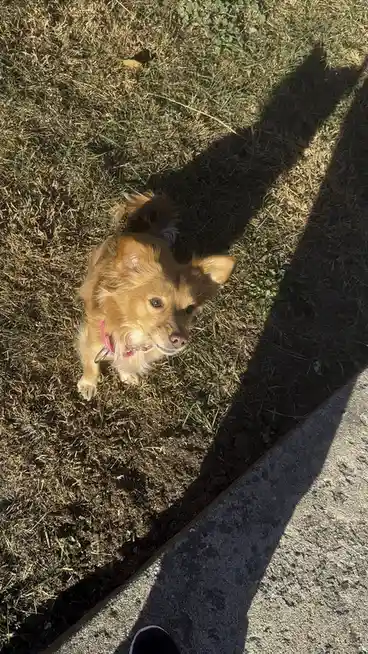 Zoom-In Moments After Our Walk