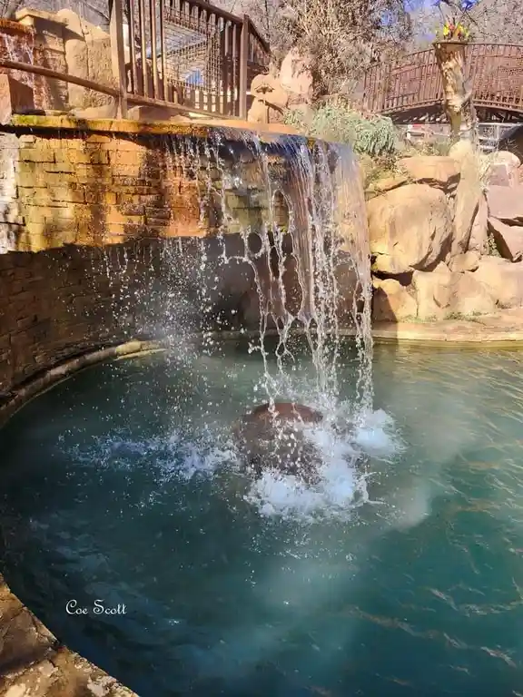 Indulging in a Relaxing Spa Day