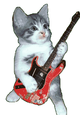 Two identical images side-by-side show a small gray and white kitten holding a red electric guitar. The kitten is standing…