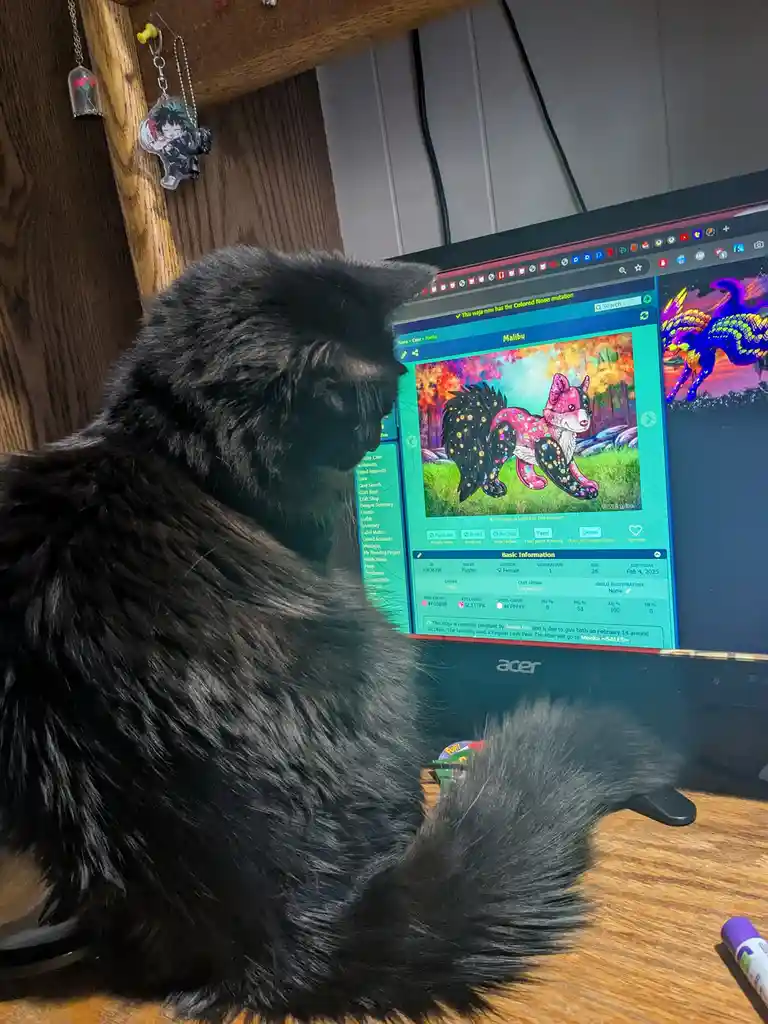 A fluffy black cat sits on a wooden desk, intently staring at a computer monitor displaying a colorful, stylized digital…