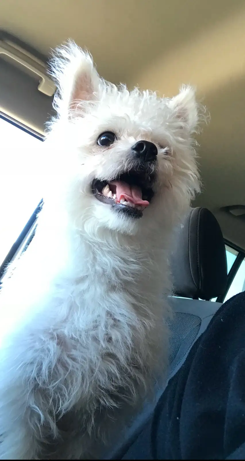 The Heartbreaking Truth: What They Do to My Boy